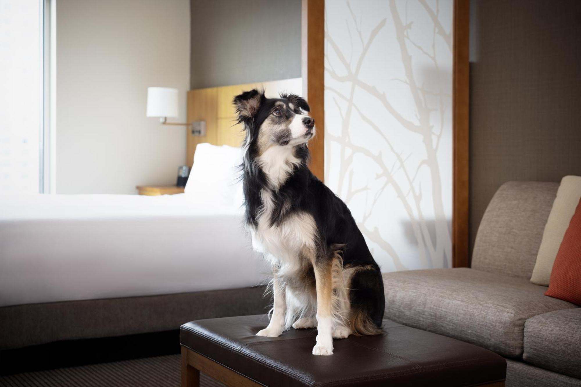 Hyatt Place Denver Downtown Εξωτερικό φωτογραφία
